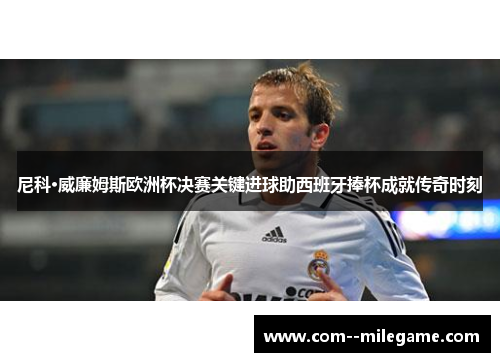 尼科·威廉姆斯欧洲杯决赛关键进球助西班牙捧杯成就传奇时刻 尼科·威廉姆斯欧洲杯决赛关键进球助西班牙捧杯成就传奇时刻